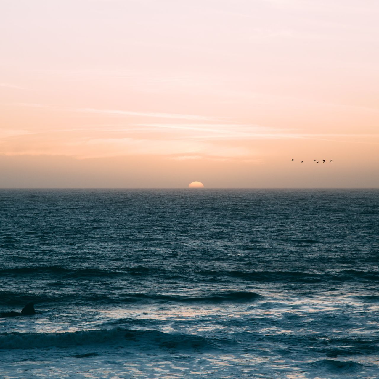 A serene sunset over the ocean, with soft pink and orange hues in the sky and gentle waves below. Silhouettes of birds are seen flying in the distance.