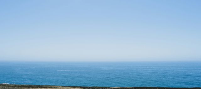 A view of the ocean from a cliff in Bodega Bay, California.