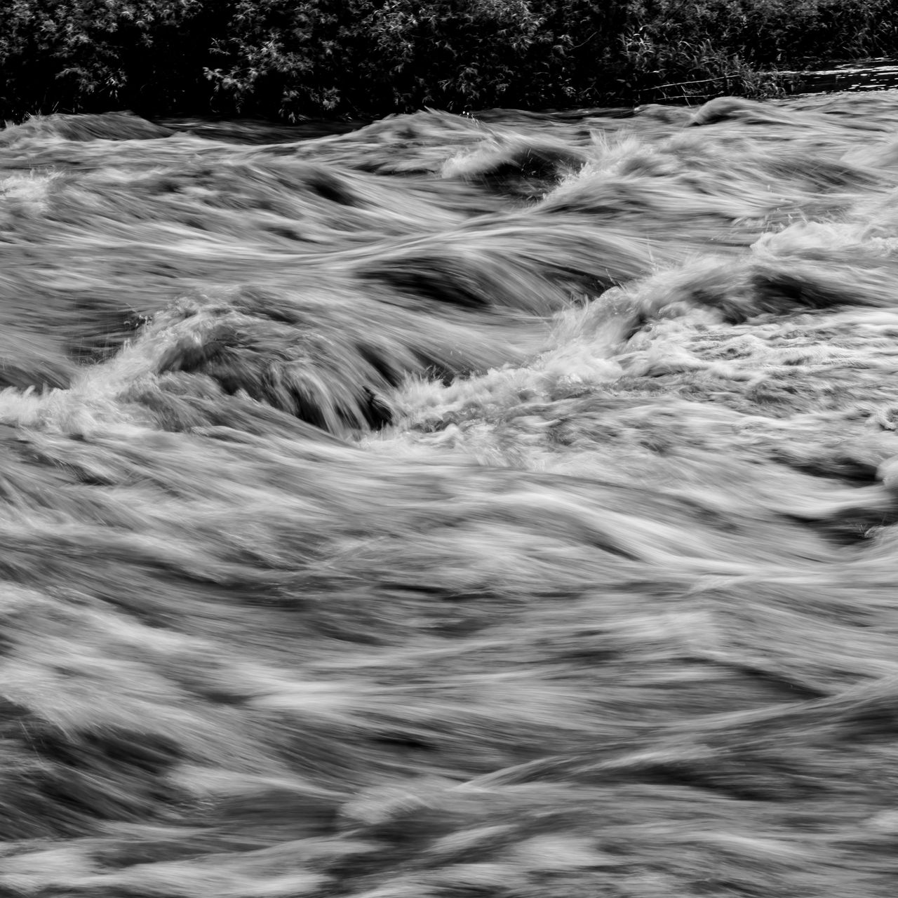 A black and white image of turbulent water flowing rapidly, creating a dynamic pattern of ripples and waves. The background features hints of foliage along the water's edge.