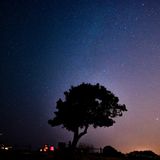 A silhouetted tree against a starry night sky, with subtle hints of light in the background. Soft colors blend from dark blue to purple, creating a tranquil atmosphere.